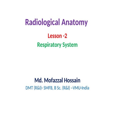 Comprehensive Radiological Anatomy of the Respiratory System: Structure ...
