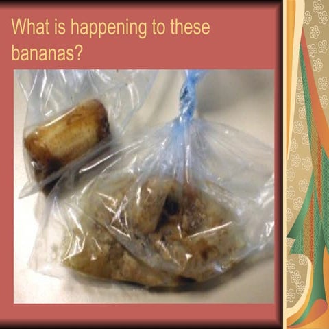 lesson-2what-are-the-roles-of-producers-consumers.ppt