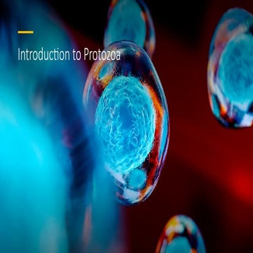 Lesson about Protozoan, Biology course for 1styear