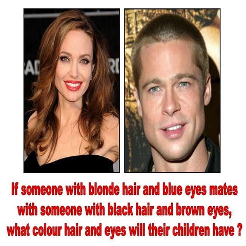 Lesson-3---Monohybrid-Crosses.ppt