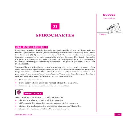 Spirochetes of medical importance lecture notes
