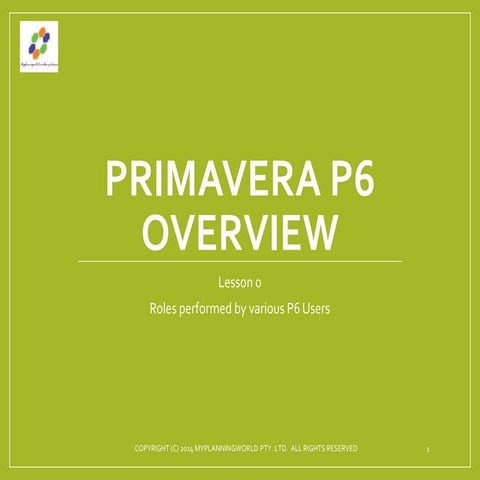 Primavera  P6  Free Training Lesson 0   overview