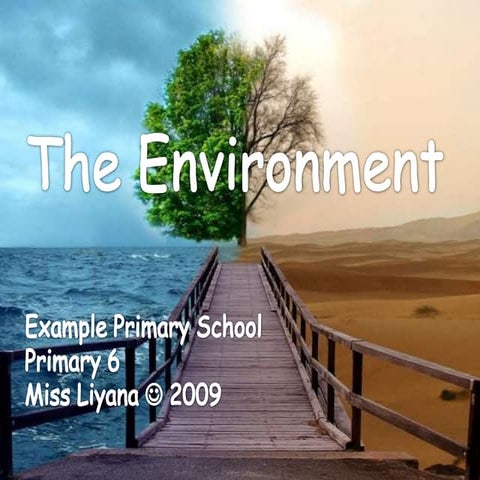 The Environment