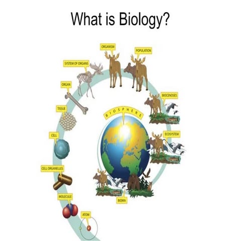 IGCSE Biology 0610 - Introduction to Biology - Characteristics of living orga...