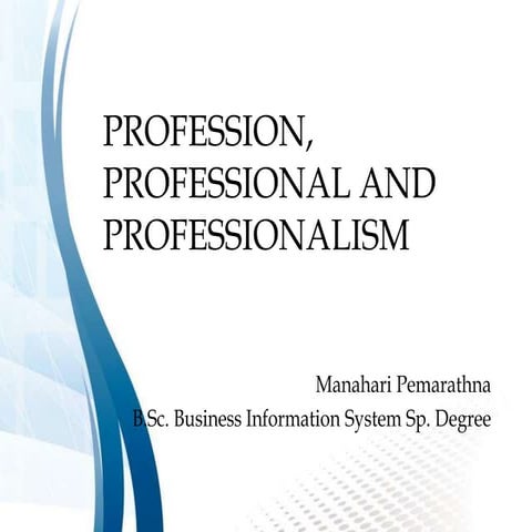 Information Technology Professionalism