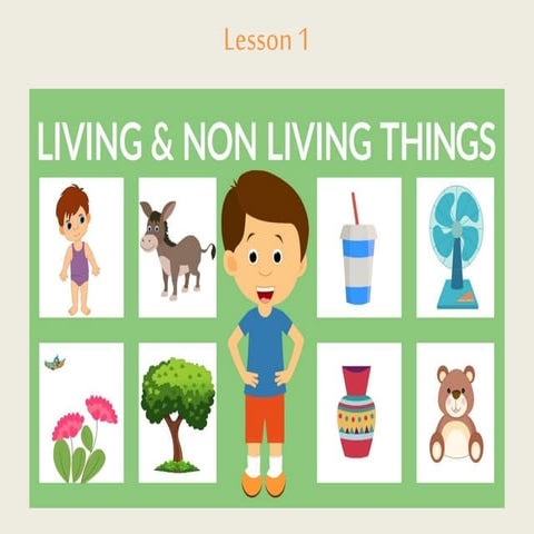 Living And Non - Living Things