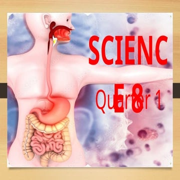LESSON  1- Digestive Process, Function, Illness, and Diseases