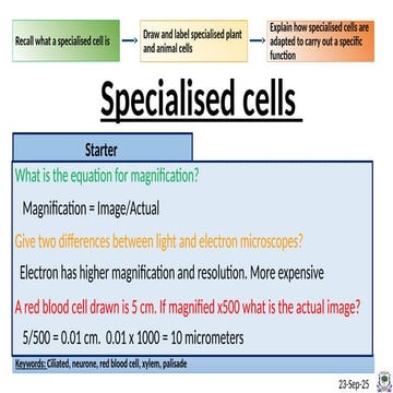 Cells-and-Organisation-L4-Specialised-Cells-PowerPoint.pptx
