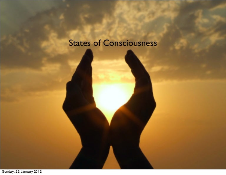 Lesson 1 What Is Consciousness