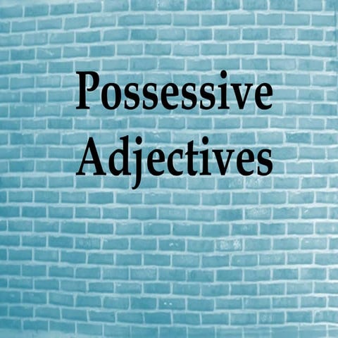 Lesson 10  possessive adjectives