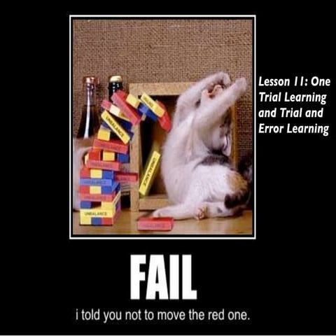 Lesson 11   one trial and trial error learning