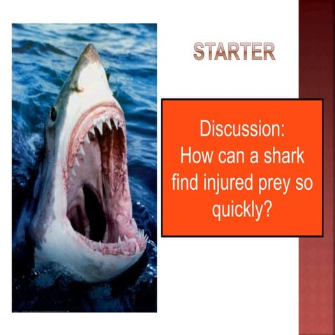 Lesson 13   diffusion