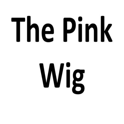 ENGLISH 2 Lesson 13 the pink wig