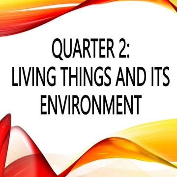 LESSON 14 - major organs of the body.pptx