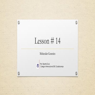 Lesson 14 Replication