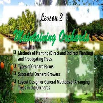 ORCHARD MANAGMENT | PDF