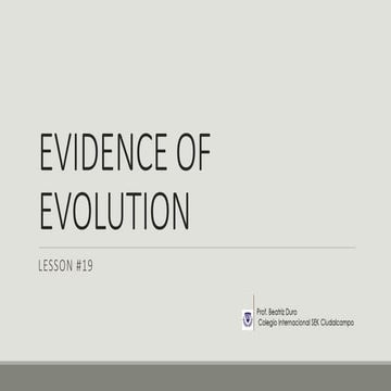Lesson 19 evidence of evolution