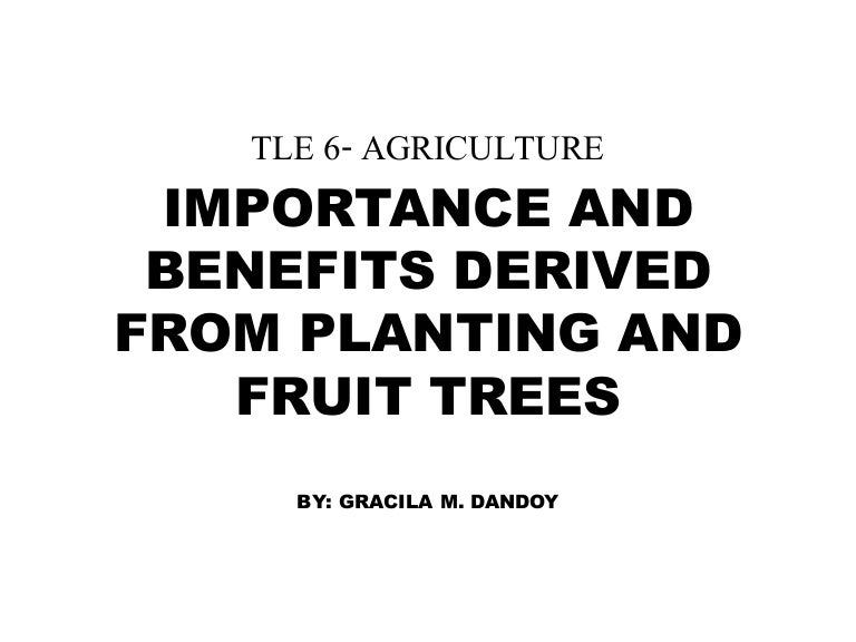 IMPORTANCE AND BENEFITS DERIVED FROM PLANTING AND FRUIT TREES