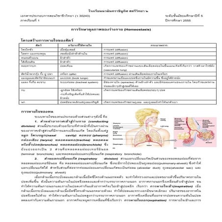 Lesson 1 homeostasis