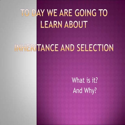 Lesson 1 Inheritance And Selection Year 9 Sb