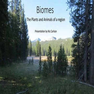 Lesson 1 powerpoint 304