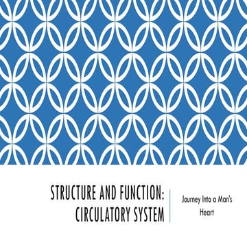 Lesson 1 Circulatory System - Grade 9