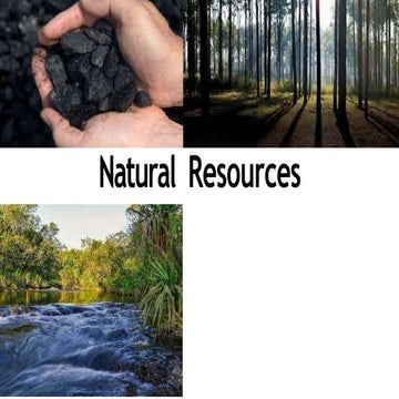 Lesson 2.pptx  Natural	Resources Concept