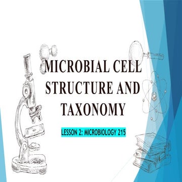 LESSON 2 - MICROBIOLOGY.pptx  Microbial Cell Structure and Taxonomy