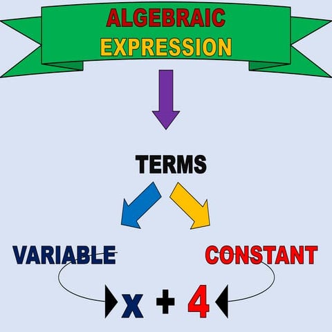 Parts of an Algebraic expression