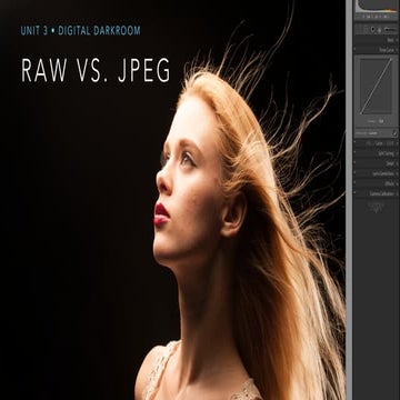 Lesson 2 • RAW vs. JPG