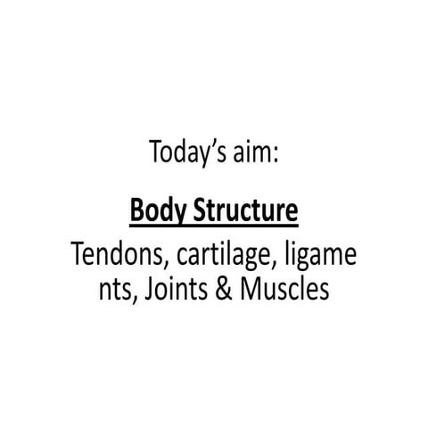 Lesson 2   tendons, ligaments, cartilage and joints