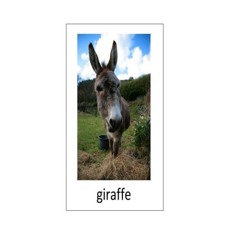 Lesson 2 & 3   semiotics