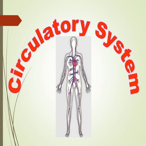 Lesson 1.pptx Circulatory System/ Cardiovascular System | PPTX