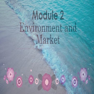 Lesson 2 Environment and Market Lesson for Grade