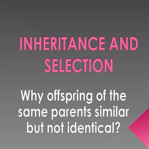 Lesson 2  Inheritance  And Selection