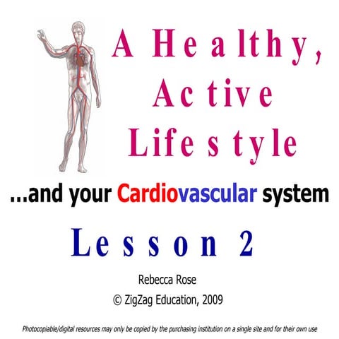 Lesson 2 long term effects of exercise
