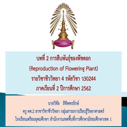 Lesson2 plantrepro wichaitu62