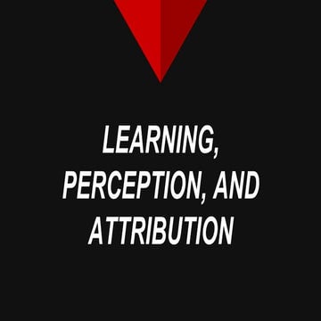 LEARNING, PERCEPTION AND ATTRIBUTION