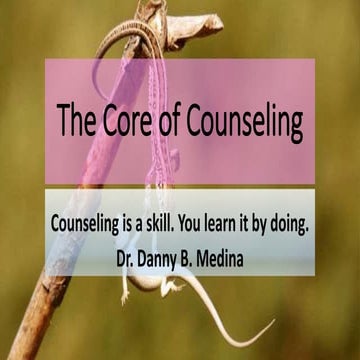 Lesson 3b   the core of counseling