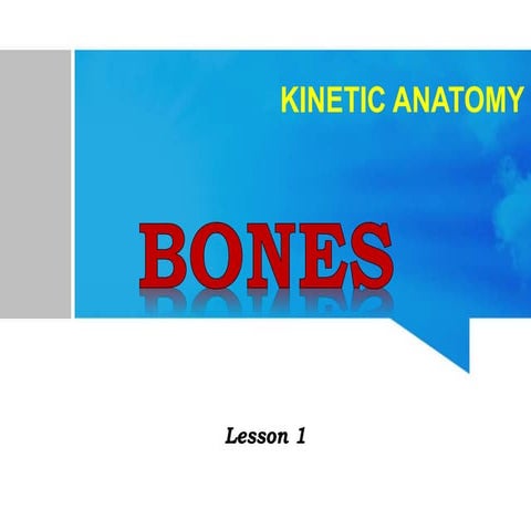 Lesson 3 (Bones).pptx