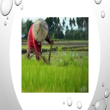 Lesson 3 Epekto_ng_Katangiang_Pisikal_ng_Timog_Silangang_Asya.pptx