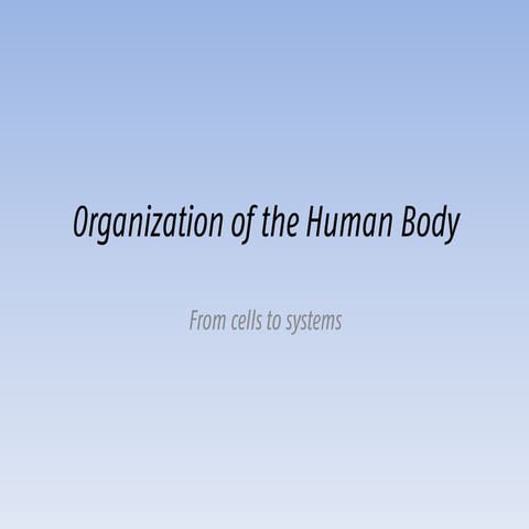 Lesson 3 organization of the human body