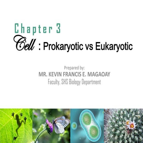 Lesson 3 Prokaryotic vs Eukaryotic Cell