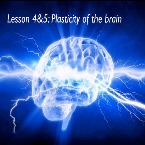 Lesson 4 & 5 plasticity of the brain 