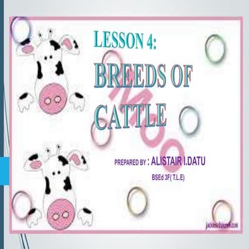 Lesson 4 breed of cattle