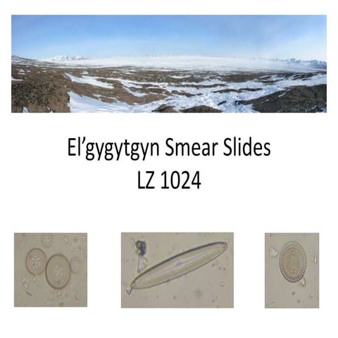 Lesson 4 el’gygytgyn smear slides 1