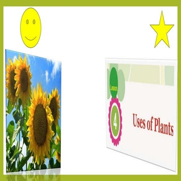 Lesson 4 uses of plants