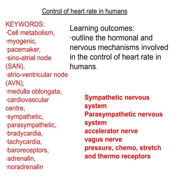 Lesson 5 control of heart rate in humans me | PPTX