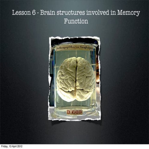 Lesson 6 brain structures involved in memory function sh | PPT