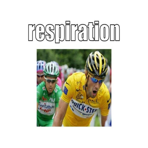 Lesson6 [2 Oth Oct 2008]